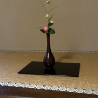 先週のお稽古風景です。