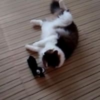 記事がない時のソウタ頼み。その2。