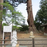 高萩八幡宮