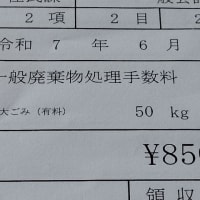 【　断捨離　】　田舎の家の宝物？