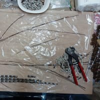 急きょキウイ教室とあれこれ・・・
