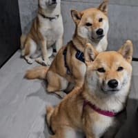 キャンペーンは6月30日まで！！