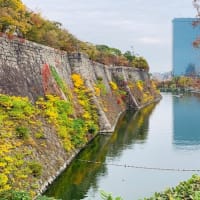 去年の今日