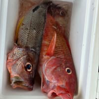 ルアー釣果　7月6日(日)