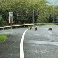 突然でビックリ‼️