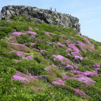 阿蘇中岳・高岳東峰　 6月1日(日)