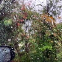 昨日午後は今年2回目の雷雨