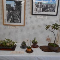 第19回花園公民館まつり