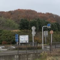 森林公園北口