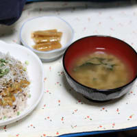 「ある日のランチ ご飯物×5食分。」