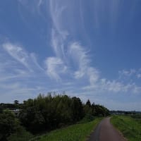 青空に軽やかな雲　自転車に乗ったまま飛び立ちたい(#^.^#)