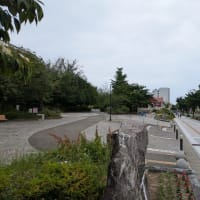 宮城野原案内人の会主催「仙石線　消えた踏切を巡る①」に参加しました