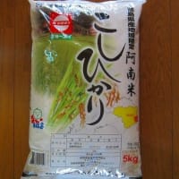 お米の値段