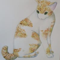 ご無沙汰しております