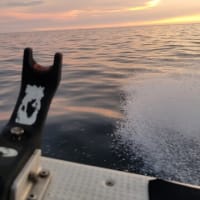 無謀でハードな遊漁船の釣りをしてしまった～～