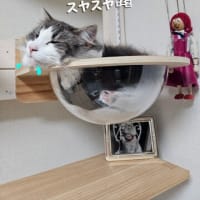 ランニングマシン