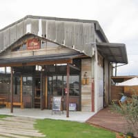 手作りチーズケーキ キダール 加古川 Sam Sダイアリー 手作りチーズケーキ キダール 加古川 Sam Sダイアリー