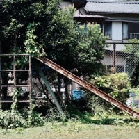 地域の伝統文化-三重県尾鷲市：須賀利