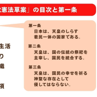 沖縄戦で日本軍が沖縄の人々を直接にも２９８人、間接的な殺人を含めると４７６６人殺した事実を「例外的に悲しい事件があった」と矮小化する参政党の神谷宗幣代表は、これからも市民の犠牲を気にしないだろう。