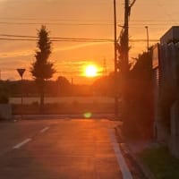最高気温更新の一日