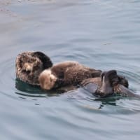 抱き抱えて・・