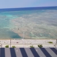 那覇へ行ってきました!