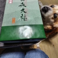 珍しいのんびりタイム・・・
