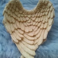 天使の羽のトレー