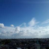 台風間近の東京の空