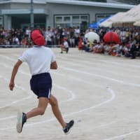 タマモクロスからの～運動会を観戦