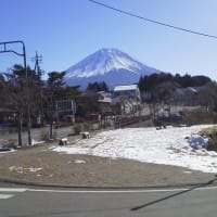 富士五湖行って来た。