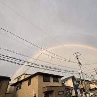 今日いち-2025年6月26日