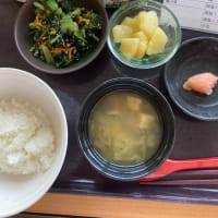 昨日退院でした　帰って来たよ山羊たち〜