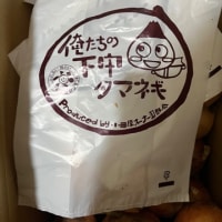 俺たちの下中タマネギ