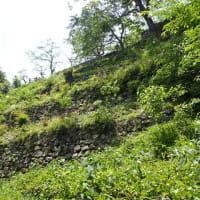 佐伯城 豊後国　山上の石垣の城郭遺構を堪能　東海古城研究会の見学会で訪れました