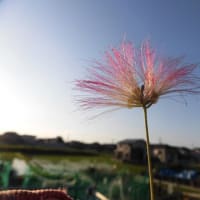 あと三ヶ月ほど