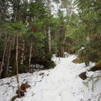 八ヶ岳・にゅう～中山～高見石を周回