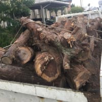 福岡市で不要品の木を回収、処分来ました