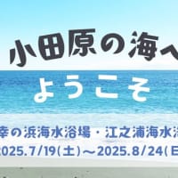 小田原の夏を満喫！「御幸の浜」と「江之浦」2つの海水浴場が今年も海開き！