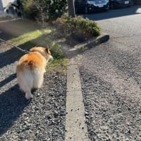 入院していました