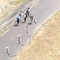５月18日（日）昨日とは一転薄曇り晴れ日・・