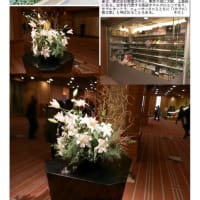 施設案内東京-526    帝国ホテル 