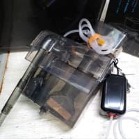 中古 カミハタ プロテインスキマー 海道河童(大)