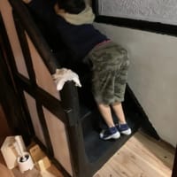 オープンにふさわしいメンツ