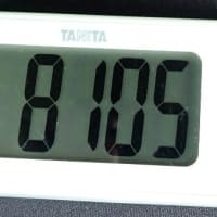 花立峠・登山道沿いの花　2025/06/21