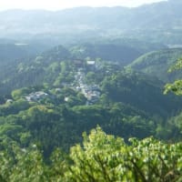来年春『芋峠・吉野山」下見山行。