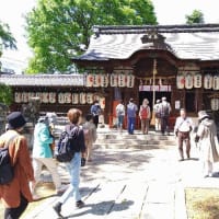 京都史跡探訪、2週続けて宇治へ