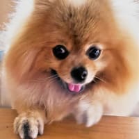 ありがとうお父さん！