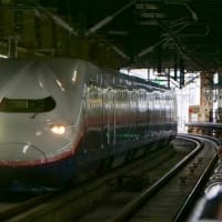 大宮で再びMaxときに会う