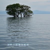 琵琶湖上の竹生島
